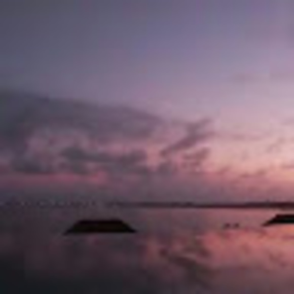 Meet your Posher, Allie - Picture 1 of 1